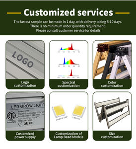 Lampe de culture LED 720W pour plantes d'intérieur, <span class=keywords><strong>spectre</strong></span> complet Samsung, lampe de culture 4x4 pour serre et tente de culture - Product Image 5
