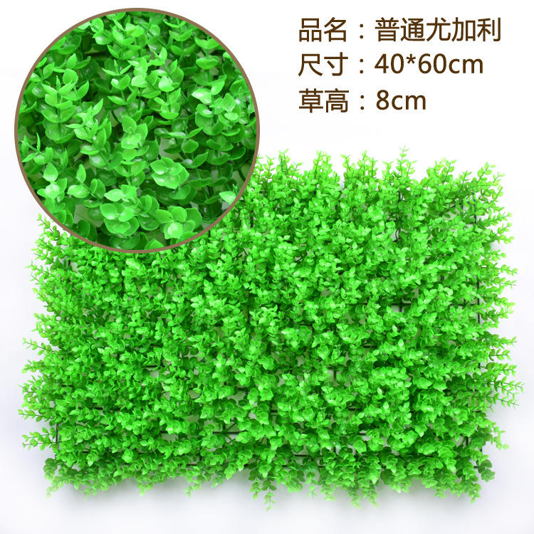 ยูคาลิปตัสธรรมดา