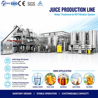 Complete turnkey project: productielijn voor 1000 flessen fruit sap
