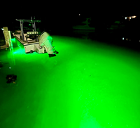 Bateau de pêche Cargo Ship Éclairage Port Aquarium LED Projecteur IP68 Étanche Anti Corrosion LED Marine Projecteurs 100w 1000w
