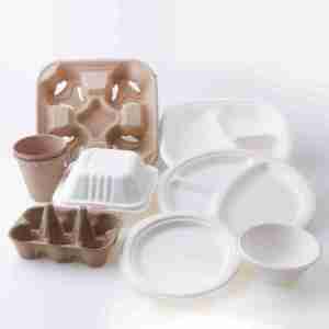 Emballage alimentaire compostable de bagasse avec couvercle pour des occasions de fête - Product Image 4
