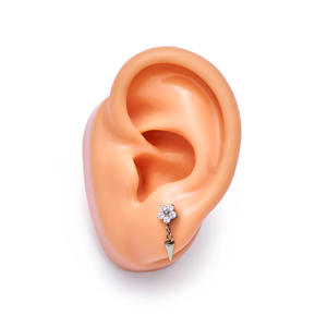 Vente en gros de bijoux en titane ASTM F136 G23 16G pour <span class=keywords><strong>piercing</strong></span> d'<span class=keywords><strong>oreille</strong></span>, avec pendentif <span class=keywords><strong>double</strong></span> fleur en zircon cubique et dos plat, type labret, pour lèvre, hélix, <span class=keywords><strong>tragus</strong></span> - Product Image 2