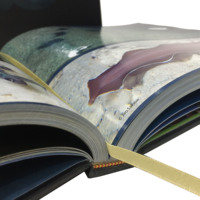 Vente en gros personnalisée Oem bon marché couleur haute qualité Service en Chine Papier d'art Offset grand format Impression de livres photo à couverture rigide