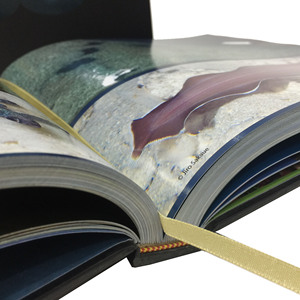 Tùy chỉnh bán buôn OEM giá rẻ đầy đủ màu sắc chất lượng cao dịch vụ tại Trung Quốc giấy nghệ thuật lớn bù đắp bìa cứng ảnh in ấn cuốn sách - Product Image 4