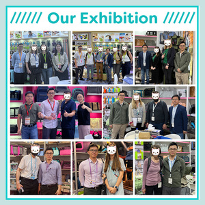 Hunde-<span class=keywords><strong>Puzzle</strong></span>-Spielzeug Hundefutter-Spender Spielzeug für Katzen IQ-Training Geistige Anregung Katzen-Leckerli-<span class=keywords><strong>Puzzle</strong></span> Langsamer Futterspender Haustierzubehör - Product Image 6