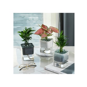 Deepbang – fournitures de jardin personnalisées en gros, Pots de fleurs en plastique simples et paresseux, <span class=keywords><strong>Pot</strong></span> de plantes d'intérieur à arrosage automatique - Product Image 1