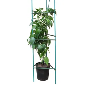 PEコーティングされた金属多機能調整可能な園芸植物は、垂直つる植物、つる植物、花、野菜用のトマトケージをサポートします