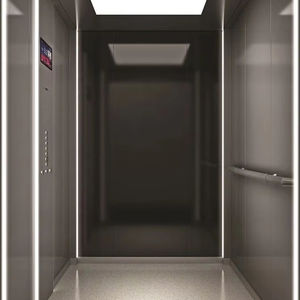 Ascenseur d'habitation pour villa, ascenseur/élévateur/de passagers ou ascenseur d'observation ou ascenseur/voiture décoratif ajouté OTIS - Product Image 1