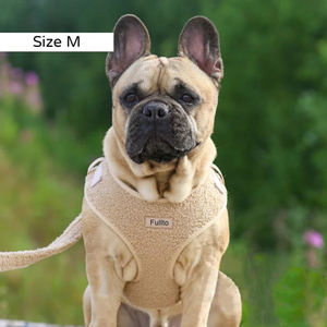 Dapat disesuaikan Set Harness anjing Teddy mewah Harness hewan peliharaan Neoprene bersirkulasi Harness dalam S M <span class=keywords><strong>XL</strong></span> ukuran untuk berjalan anjing - Product Image 3