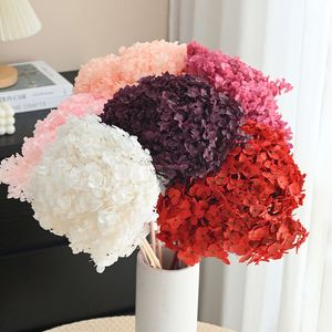 Décorations d'intérieur faites à la main en gros, fleurs d'hortensias séchées et stabilisées pour le Nouvel An, Noël et Thanksgiving - Product Image 1