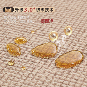 Tapis de sol de cuisine à couverture complète imperméable haut de gamme tapis de porte antidérapants résistant à l'huile tapis de ménage résistant à la saleté - Product Image 3