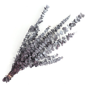 Guirlande de feuilles d'eucalyptus stabilisées et teintées, 5-7 pièces, avec pièces de monnaie en cuivre, plantes stabilisées naturelles pour Halloween, Pâques, Nouvel An Chinois - Product Image 3
