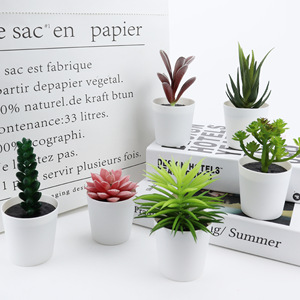 Mini flores de plástico decoradas <span class=keywords><strong>Echeveria</strong></span> Violet Queen plantas suculentas de cerámica en maceta para decoración de casa interior - Product Image 2