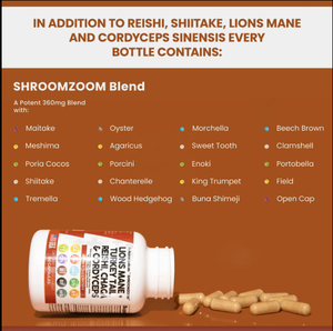 <span class=keywords><strong>Capsule</strong></span> di Miscela di Funghi Ricche di Criniera di Leone, Coda di Tacchino, Reishi, Chaga e Cordyceps per Regolare il Sistema Immunitario - Product Image 2