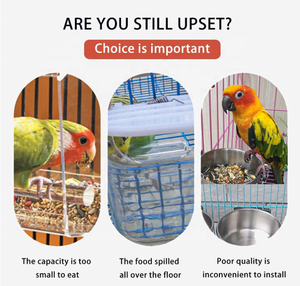 מזין ציפורים אוטומטי לכלוב - ללא לכלוך, מזין תוכים בתוך הכלוב עם מוט שקוף ומיכל אקרילי לזרעים - Product Image 3