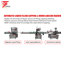 Ligne d'embouteillage entièrement automatique de 1 litre 6 têtes en plastique pour la production de remplissage d'eau minérale potable en bouteille
