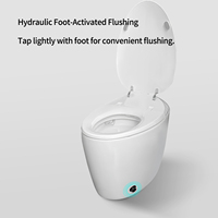 Cuvette de toilette intelligente Pied tactile Rinçage non électrique Lavage féminin Montée au sol One Piece Céramique Intelligent Salle de bain Toilette
