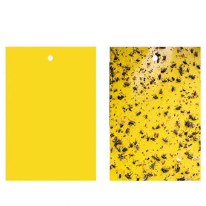 Trampa de pegamento de plástico amarillo de 20x10cm para moscas blancas - Control de insectos desechable para uso en jardín y hogar - Product Image 1