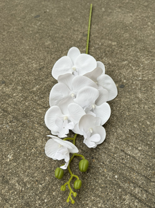 Venta al por mayor Real Touch Latex Faux Phalaenopsis flores de orquídeas artificiales 7 flores para Pascua ramas de flores artificiales decorativas - Product Image 4