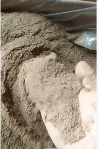 健康栄養ウシ肝臓粉末栄養補助食品用エネルギーペットフー - Product Image 3