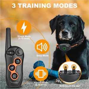 Collar de entrenador de perros electrónico recargable de 600 metros, antiladridos dispositivo impermeable, suministros de entrenamiento duraderos para mascotas - Product Image 2