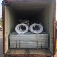 Poste de Acero Inoxidable para Vivero, Estaca para Uvas, Ecológico, Resistente a Roedores y a la Putrefacción, Tratado a Presión, Valla para Jardín, Cercado para Ganado, 6 Unidades