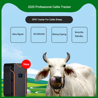 Longue durée de vie batterie de vache bovins mini gps traqueur de suivi de périphérique