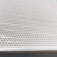 Paneles de techo acústicos ecorativos, lámina de malla perforada personalizada de HDPE