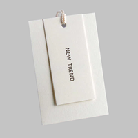 Étiquettes Volantes Personnalisées en Papier de Luxe pour Vêtements, avec Logo de Marque Imprimé, Carton, Fabrication Chinoise, Design Créatif et Ficelle