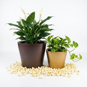 Maceta inteligente con autorriego de 35x26x30.5cm, de plástico PP, con indicador de nivel de agua, para decoración de interiores, oficina y hogar. - Product Image 1