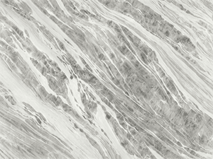 Mármol Blanco Turco Moderno con Vetas Grises, Losas Naturales para Revestimiento de Paredes, Pisos, Encimeras y Fondos - Product Image 6