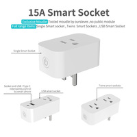 US-Standard Graffiti Smart Plug |   WLAN+Zigbee Drahtlose Verbindung, 15A Vollkupfer Fernbedienbare Steckdose