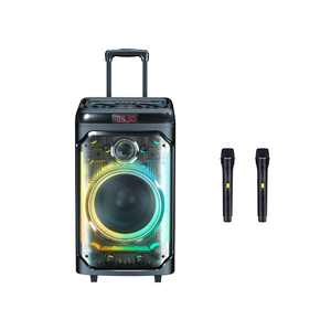 Altoparlante Trolley Trasparente per Feste con Luci RGB a Ritmo di <span class=keywords><strong>Musica</strong></span>, Boombox Karaoke da Esterno - Product Image 3