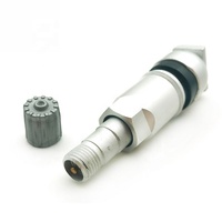 Tige de valve de pneu pour valves de pneu Mercedes accessoires de valve de remplacement de capteur TPMS