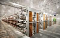 Nouvel équipement agricole essentiel : Cage automatique à 3 niveaux pour 160 poules pondeuses, en acier galvanisé de type H