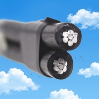 Cable de Aluminio Trenzado con Aislamiento XLPE, Cable de Alimentación Aéreo de Bajo Voltaje 2*25mm2