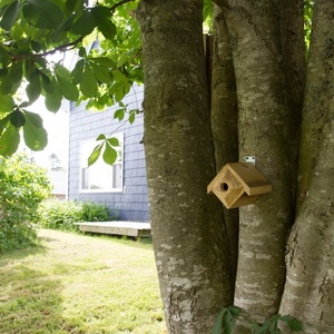 Casa de diamantes Titmouse - Product Image 4