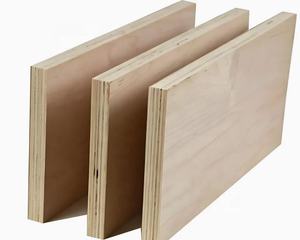 Contreplaqué de bouleau, okoumé, pin, bintangor, cèdre crayon, eucalyptus, noyau de bouleau, 1220X2440mm, 1250X2500mm, 6mm, 8mm, 12mm, 15mm, 18mm - Product Image 3