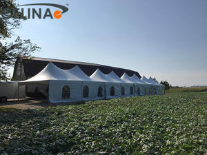 Tenda per Matrimoni 20'x40', <span class=keywords><strong>Struttura</strong></span> per Eventi e Feste, Gazebo, Tenda Pinnacle - Product Image 6