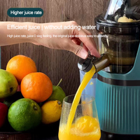 Stainless Steel Electric Slow Fresh Smoothie Fruit Citrus Orange Extractor Blender Slow Juicer Machine