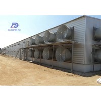 Conception de ferme d'élevage de porcs, structure en acier préfabriquée complète, construction de bâtiment pour porcs