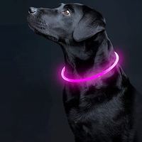 Collier LED pour chien rechargeable par USB de type C, multicolores, haute visibilité, pour la marche nocturne en toute sécurité