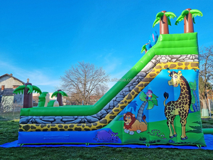 Thương mại <span class=keywords><strong>Inflatable</strong></span> động vật chủ đề Công viên trượt sân chơi ngoài trời phim hoạt hình inflatables lâu đài Combo đôi làn đường trượt cho trẻ em - Product Image 3