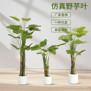 Planta Artificial de Hoja de Taro Dream Castle, 100-200 cm, Decoración Interior y Exterior, Estilo Bonsái, Vegetación - Product Image 1