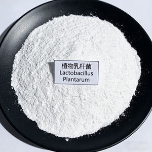 Additifs alimentaires : <span class=keywords><strong>Ferment</strong></span> <span class=keywords><strong>lactique</strong></span> pour yaourt, Probiotiques lyophilisés 10 milliards UFC/g, Lactobacillus Plantarum lyophilisé - Product Image 1