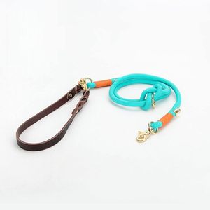 Laisse pour chien en nylon personnalisée avec poignée en cuir, laisse d'entraînement réglable anti-traction, vente en gros de laisses pour chien en nylon - Product Image 2