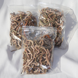 เหยื่อตกปลาแบบแห้งคุณภาพพรีเมียม ทำจากหนอนทะเล สำหรับตกปลาในน้ำเค็ม เหยื่อแห้งที่มีประสิทธิภาพ - Product Image 3