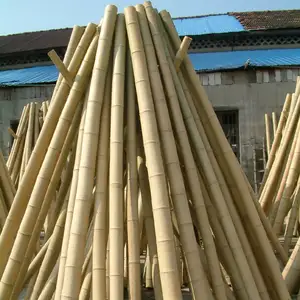 Büyük kalite bambu direk büyük boyalı bambu direk s ucuz fiyat