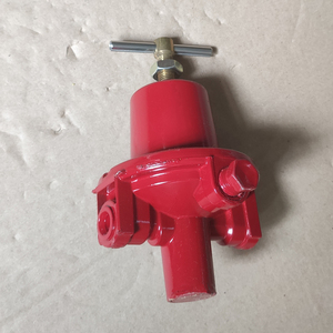 Válvula Reductora de Presión de Gas Propano REGO 597FD DN8, Válvulas de GLP <span class=keywords><strong>para</strong></span> Cocinas de Pescado, Regulador Neumático de 1/4, Capacidad de 102 kg/h - Product Image 3