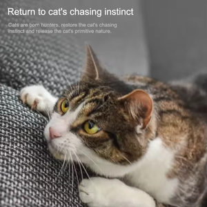 <span class=keywords><strong>Petoneer</strong></span> ของเล่นแมวอัจฉริยะมีช่องเสียบ USB มีจุดสีแดงของเล่นสำหรับสัตว์เลี้ยงแมว - Product Image 5